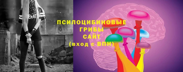 бутират Алексеевка