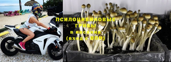 МДПВ Алексин